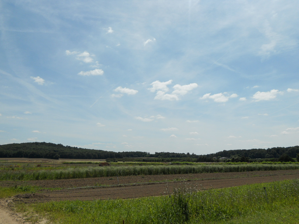a0066869_17333496.jpg