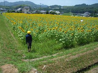 a0064474_10595426.jpg