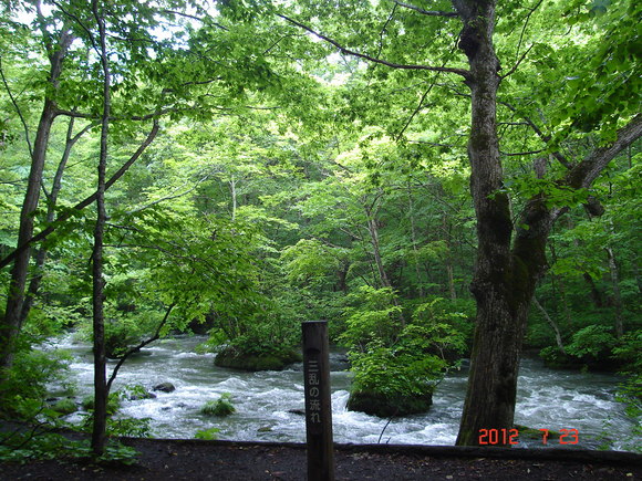 a0188775_1775657.jpg