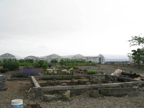 b0221077_2237495.jpg