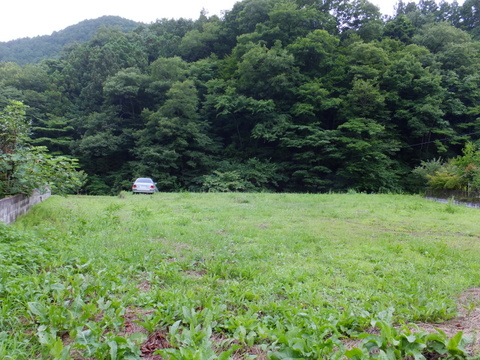 a0043982_1658258.jpg