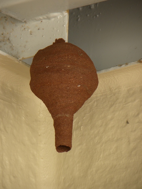 d0258487_10395043.jpg