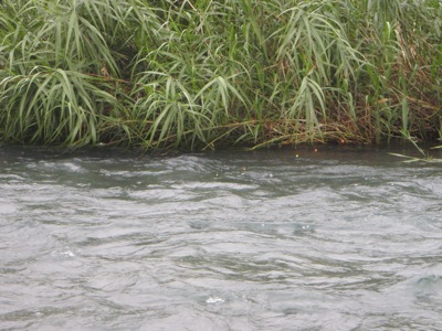 c0146788_9444610.jpg