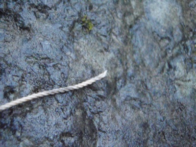 c0146788_9451718.jpg
