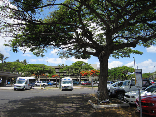 f0189895_15522240.jpg