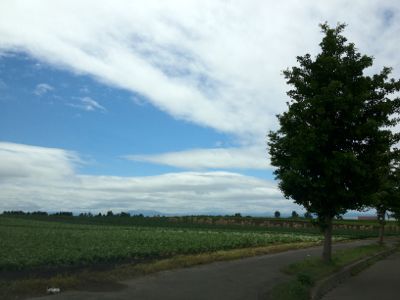 b0113698_8451093.jpg
