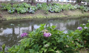 e0122199_233065.jpg