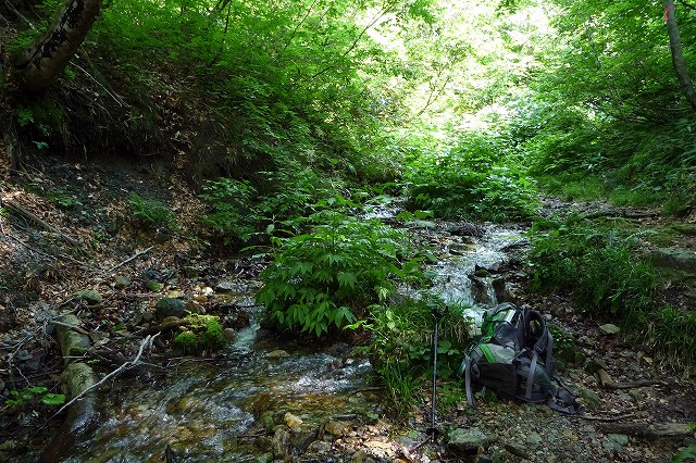 e0137200_2155243.jpg