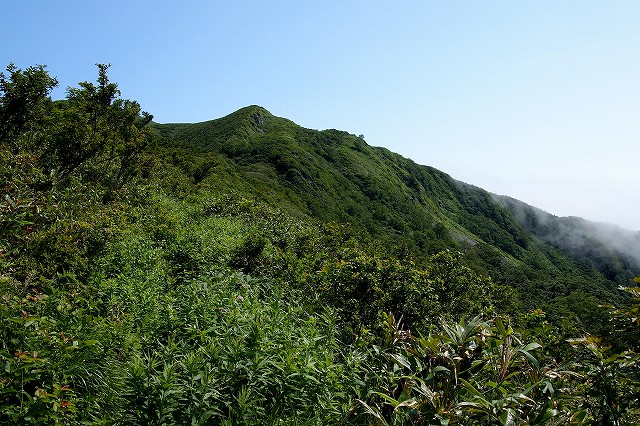 e0137200_2155468.jpg
