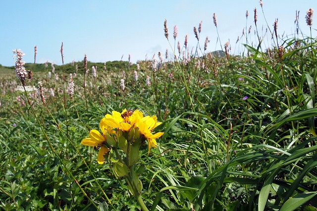 e0137200_21574755.jpg