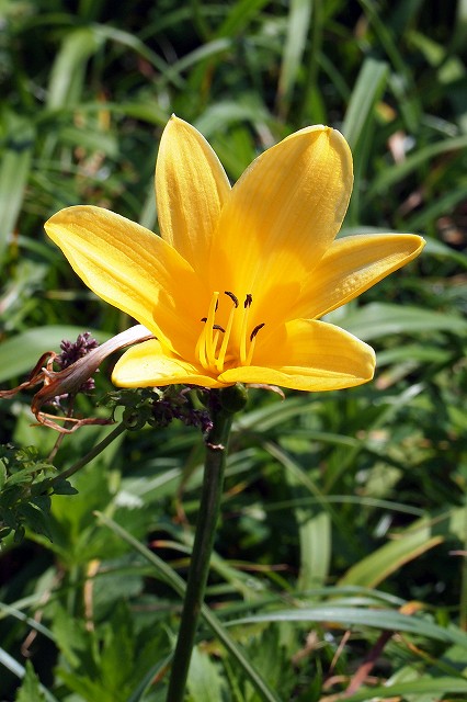 e0137200_21582232.jpg