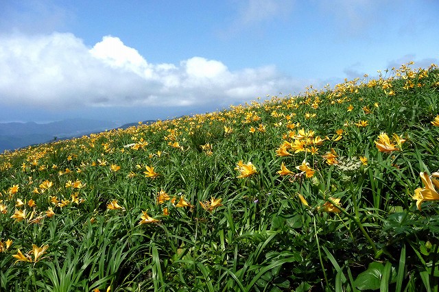 e0137200_220244.jpg