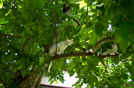 f0239100_23145572.jpg