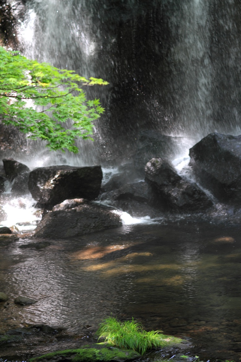 f0034602_10441811.jpg