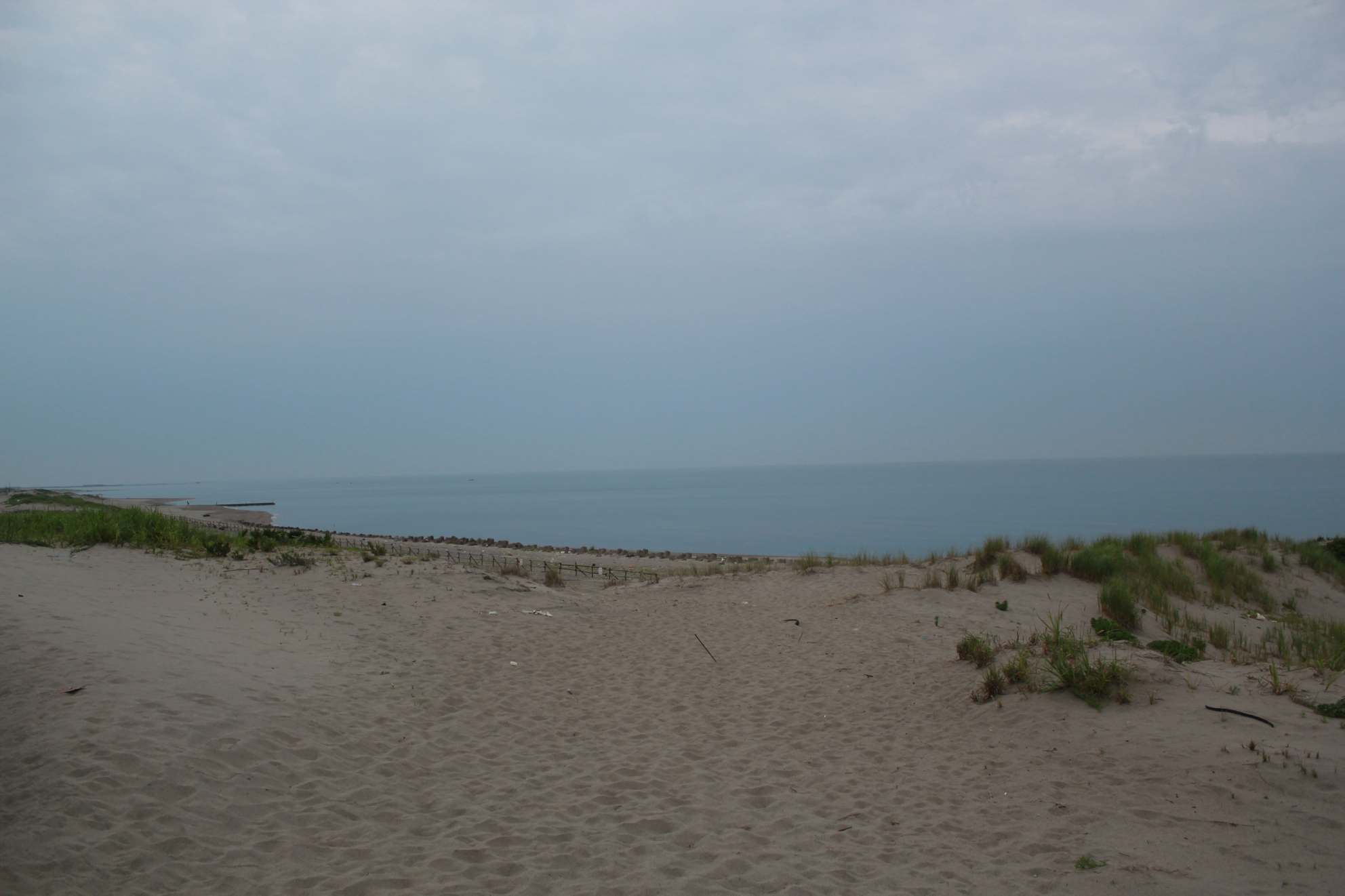 a0264604_7263488.jpg