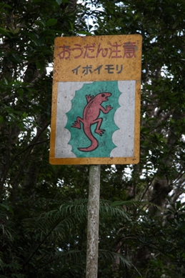 d0136804_650093.jpg