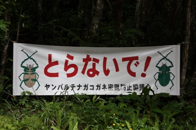 d0136804_6501336.jpg
