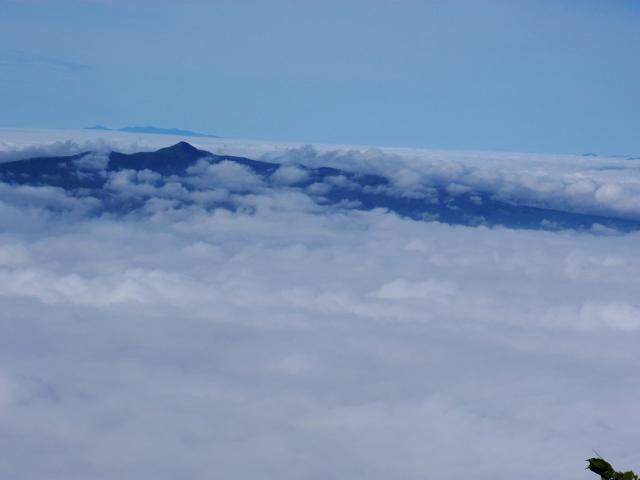 d0170615_7235579.jpg