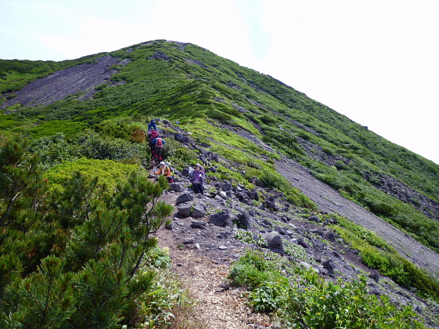 d0170615_725198.jpg