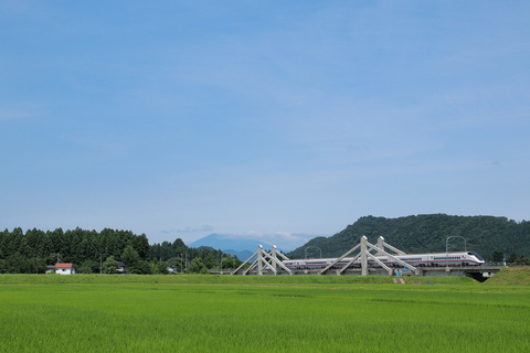 b0230319_1491685.jpg