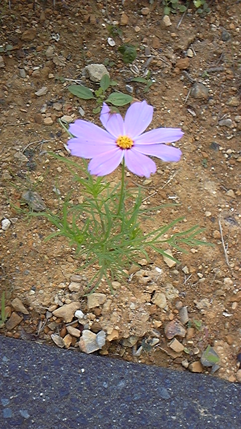 c0038722_10124441.jpg