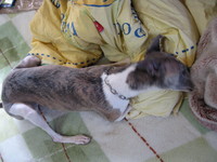 b0268228_933423.jpg