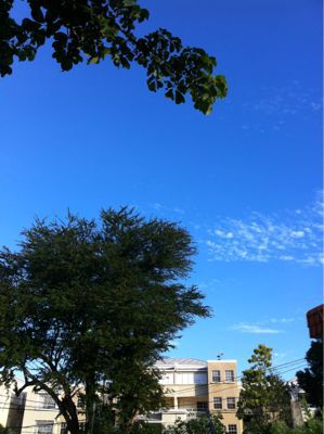 f0169328_3552775.jpg