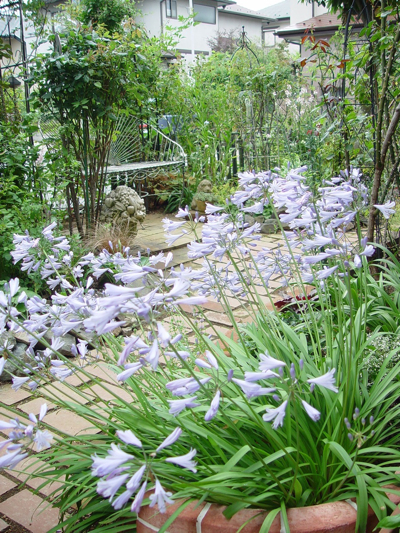 f0060535_2024048.jpg