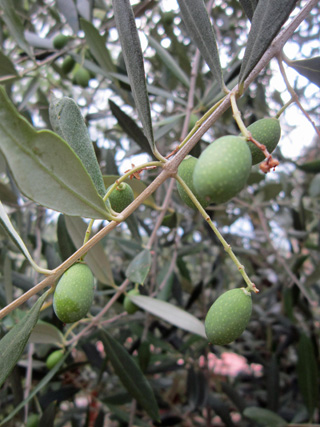 f0234936_65199.jpg