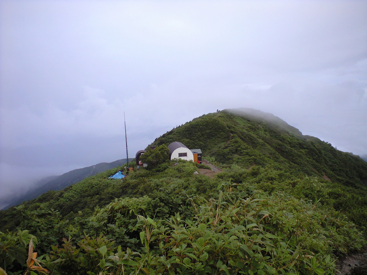 d0107938_1511043.jpg