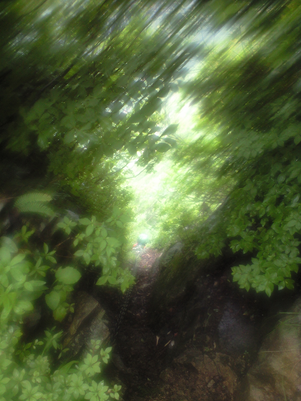 d0107938_15242284.jpg