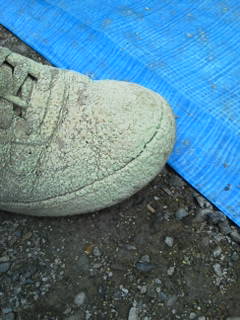 e0150849_12124948.jpg