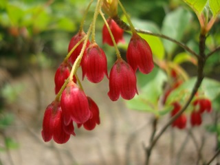 f0198556_22242016.jpg