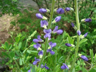 f0198556_22261215.jpg