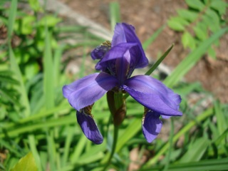 f0198556_22263746.jpg