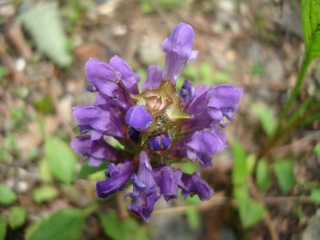 f0198556_22273117.jpg