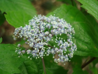 f0198556_22292024.jpg