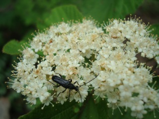f0198556_22293740.jpg