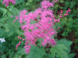 f0198556_22352934.jpg