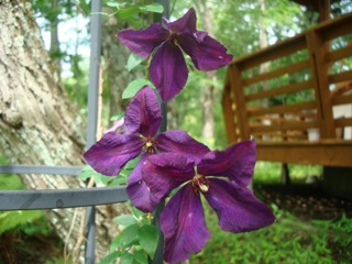 f0198556_22403071.jpg