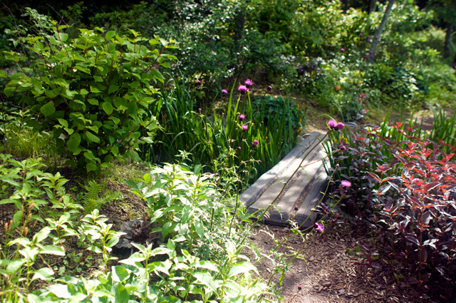 f0176458_10215774.jpg