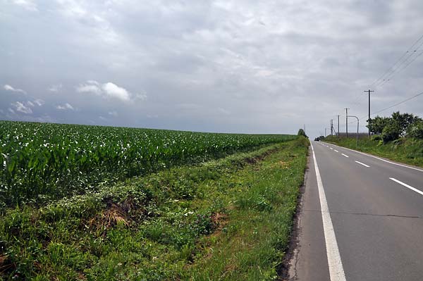 c0043361_2331623.jpg
