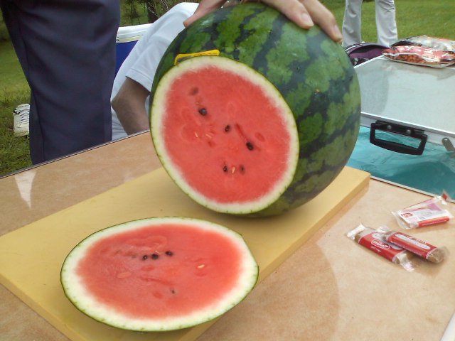 f0061067_22271588.jpg