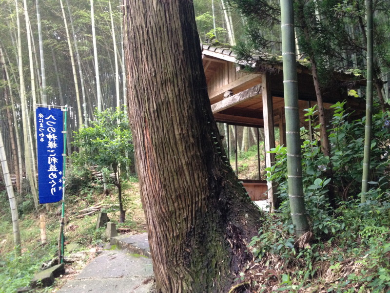 b0078370_8441922.jpg