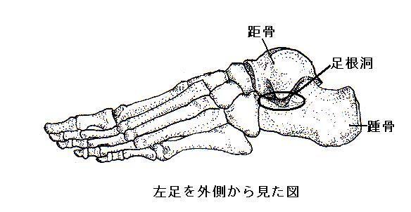 e0189070_1515211.jpg