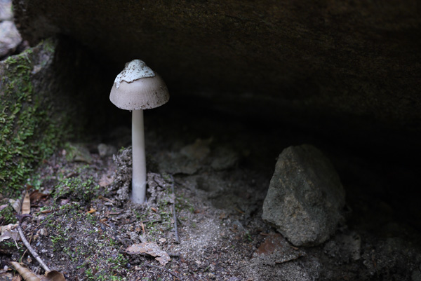 c0087773_22214752.jpg