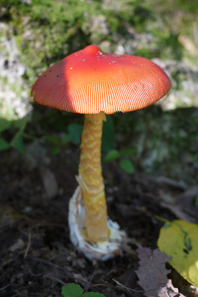 c0087773_22242499.jpg