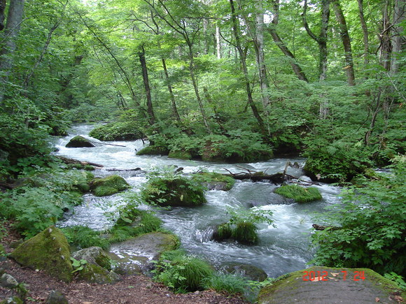 a0188775_9413240.jpg