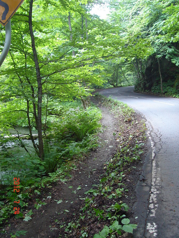 a0188775_946481.jpg