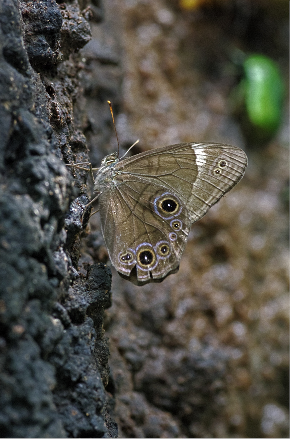 d0209988_2015415.jpg